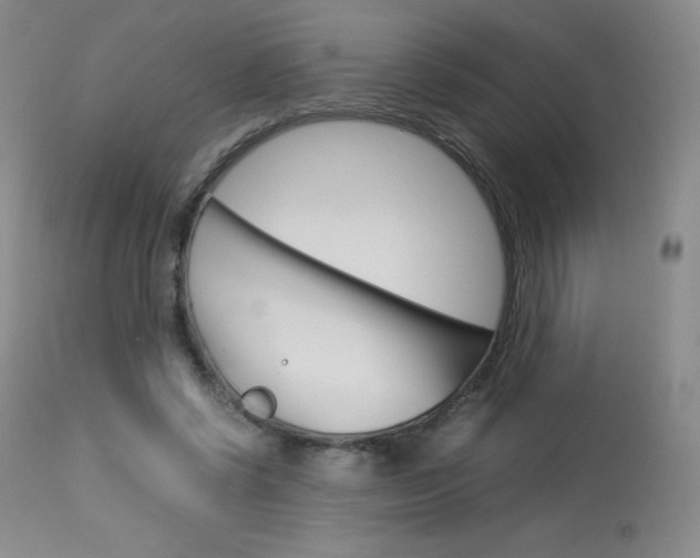 X0000114140542200910081028