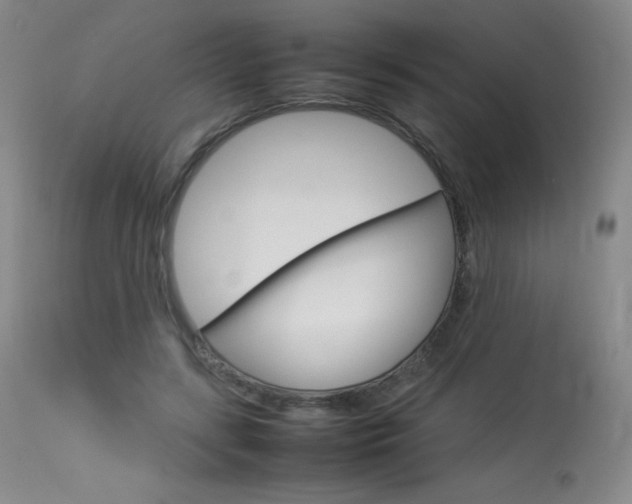 X0000114140547200910081028