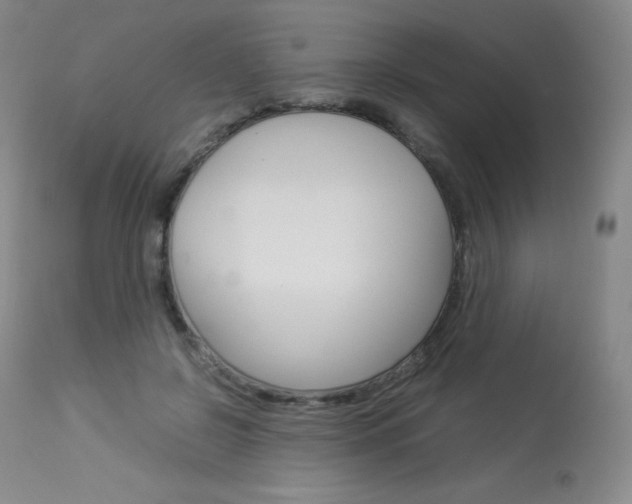 X0000114140550200910081028