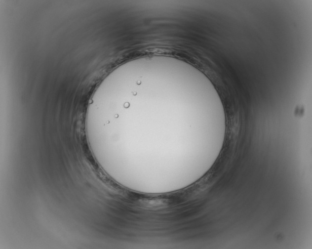 X0000114140553200910081028