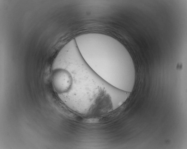 X0000114140554200910081028