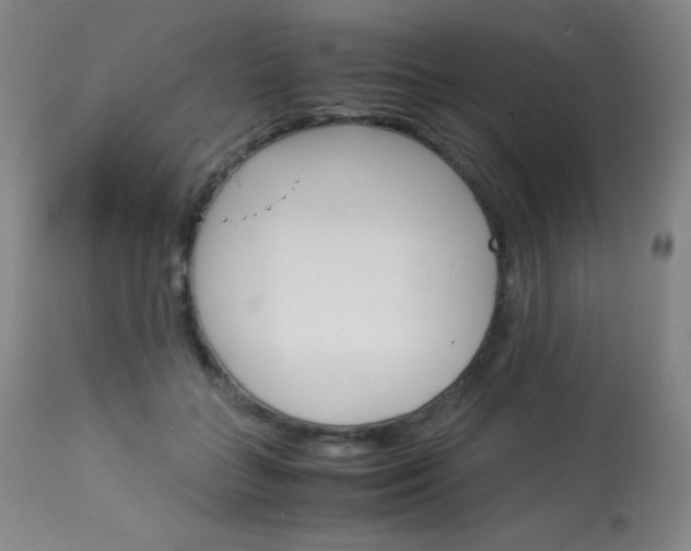 X0000114140555200910081028