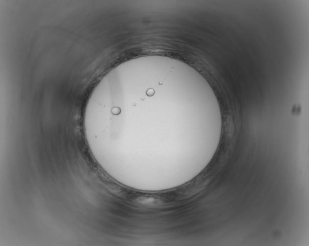 X0000114140557200910081028