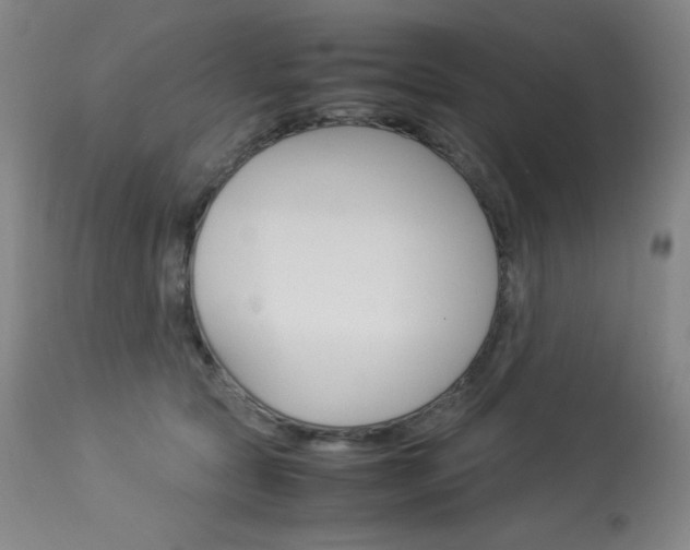 X0000114140561200910081028