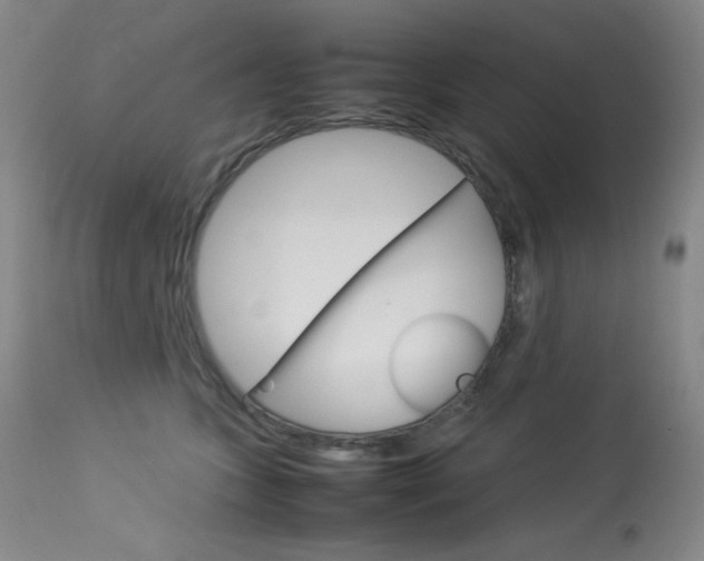 X0000114140563200910081028