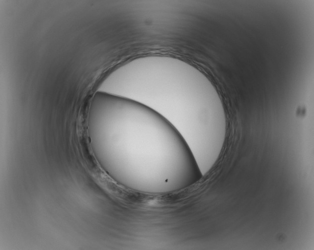 X0000114140564200910081028
