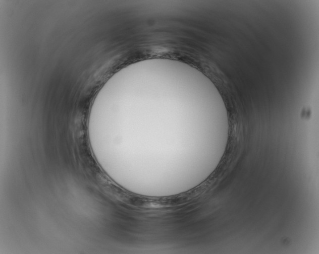 X0000114140565200910081029