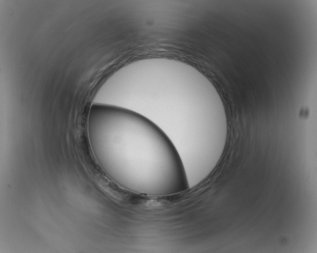 X0000114140566200910081029