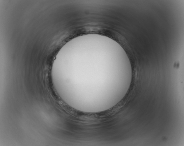 X0000114140567200910081029