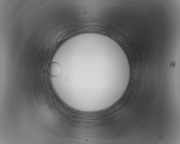 X0000114140568200910081029