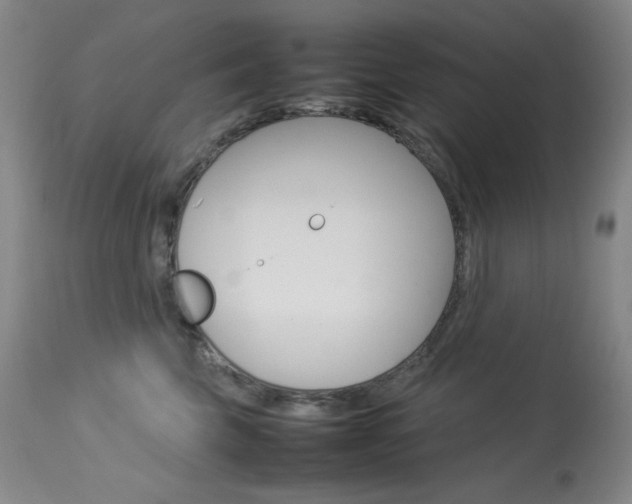 X0000114140569200910081029