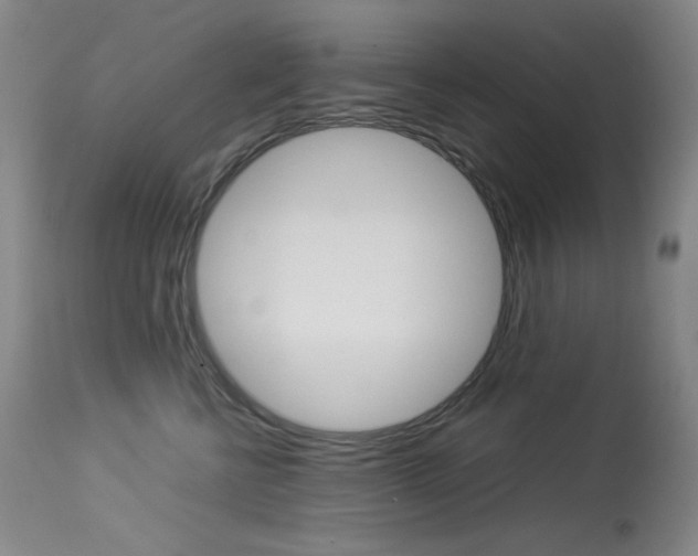 X0000114140570200910081029