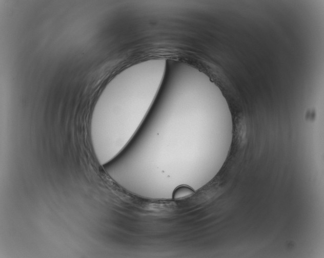 X0000114140571200910081029