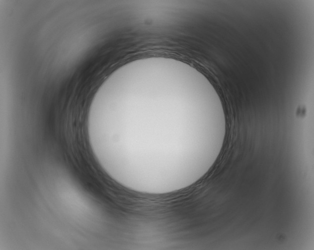 X0000114140572200910081029