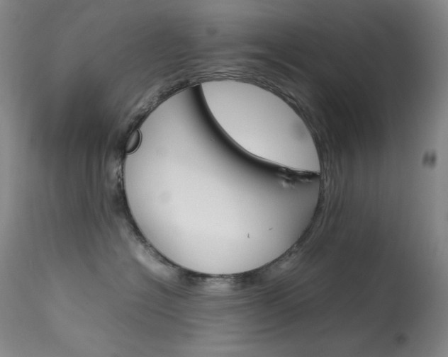 X0000114140574200910081029