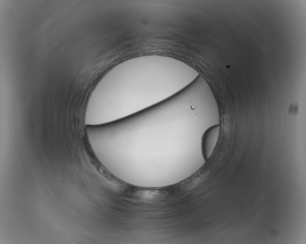 X0000114140575200910081029