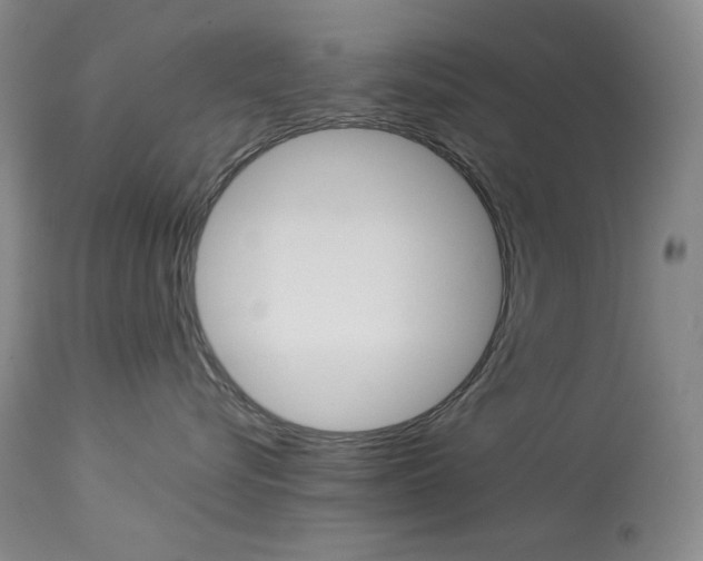 X0000114140576200910081029