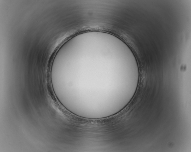 X0000114140578200910081028