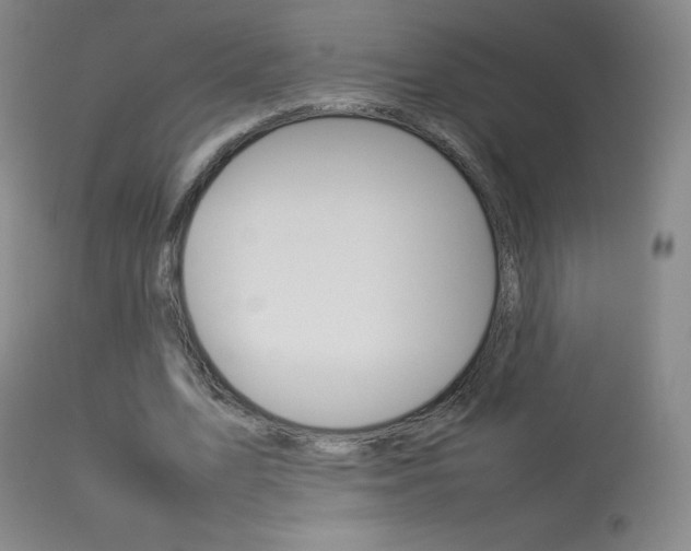 X0000114140583200910081028