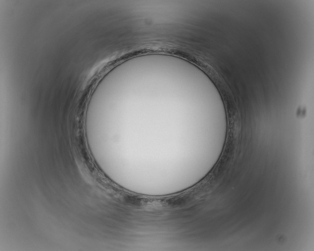 X0000114140587200910081028