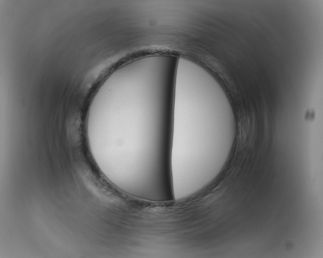 X0000114140588200910081028