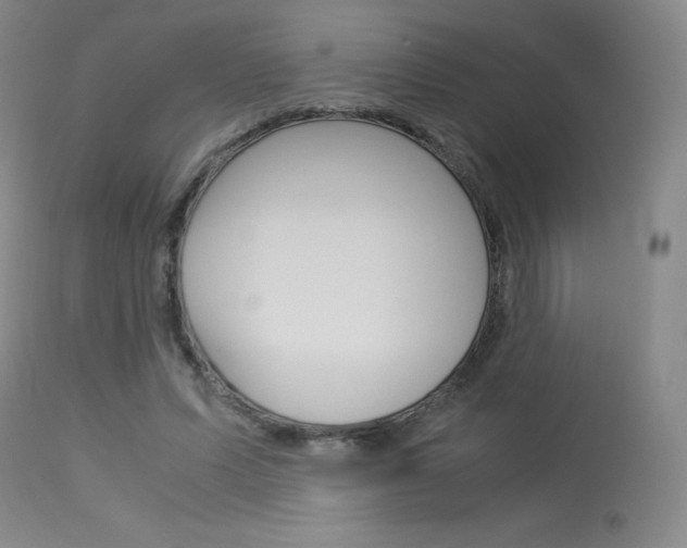X0000114140591200910081028