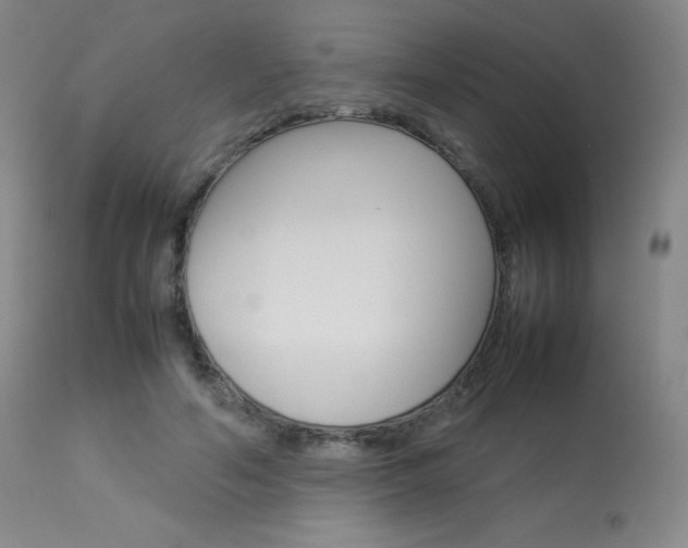 X0000114140594200910081028