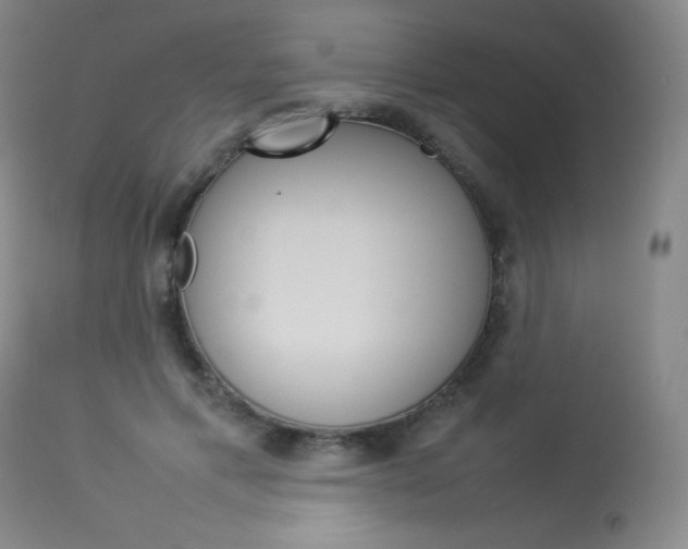 X0000114140597200910081028