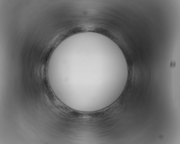 X0000114140598200910081028