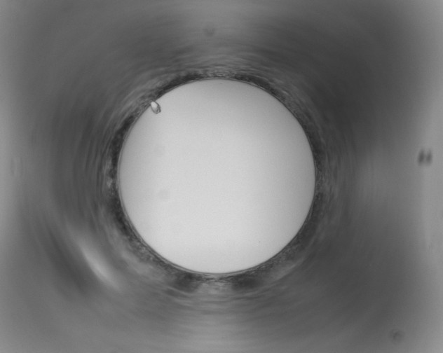 X0000114140599200910081028