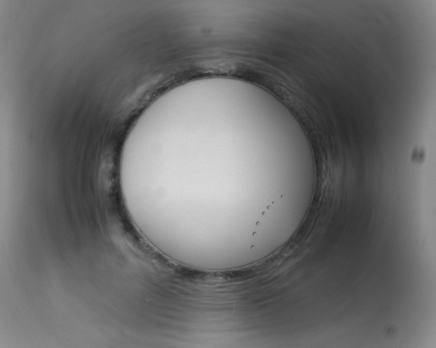 X0000114140600200910081028