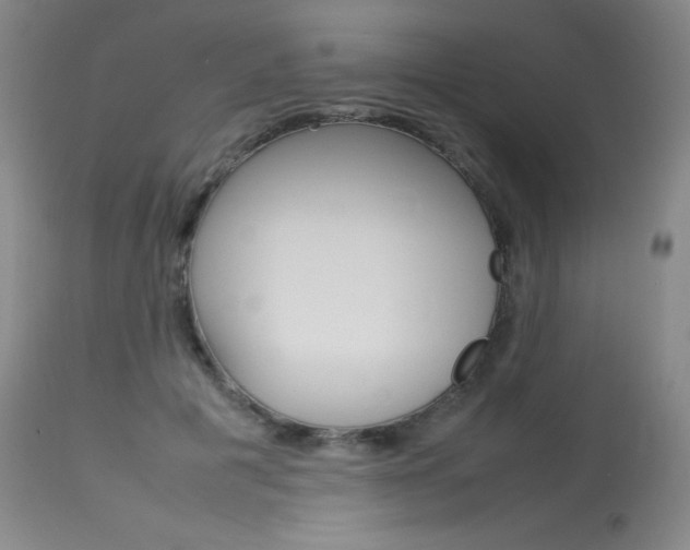 X0000114140601200910081028