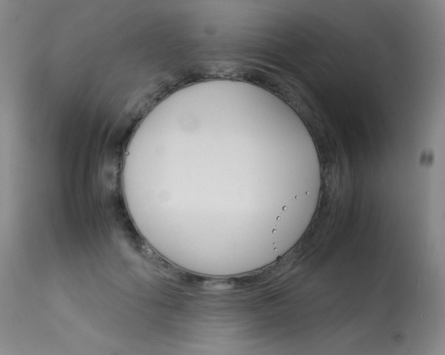 X0000114140602200910081027