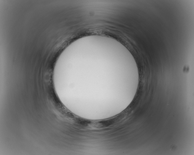 X0000114140603200910081027
