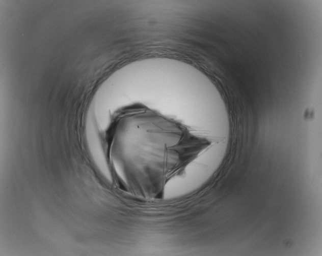X0000114140605200910081027