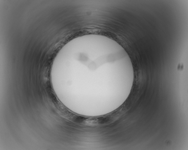 X0000114140606200910081027