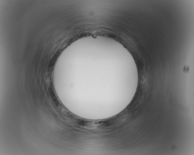 X0000114140607200910081027
