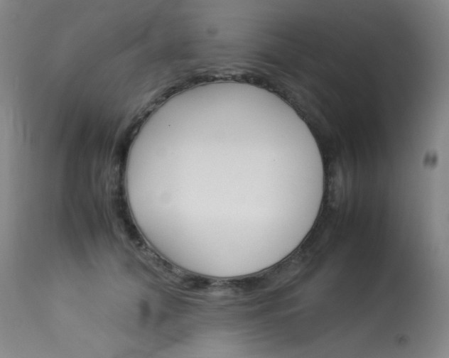 X0000114140608200910081027