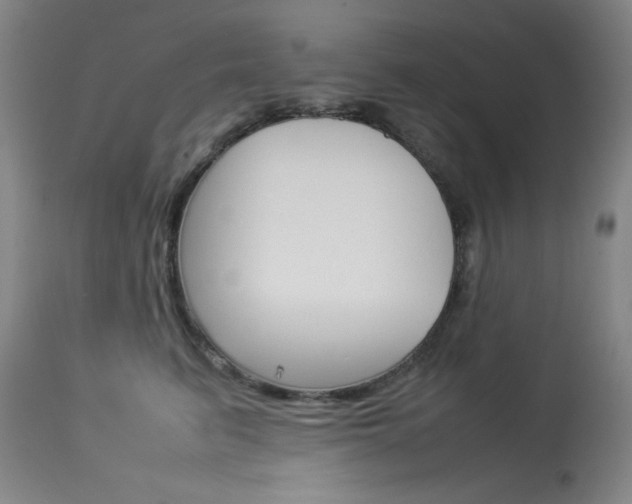 X0000114140615200910081027