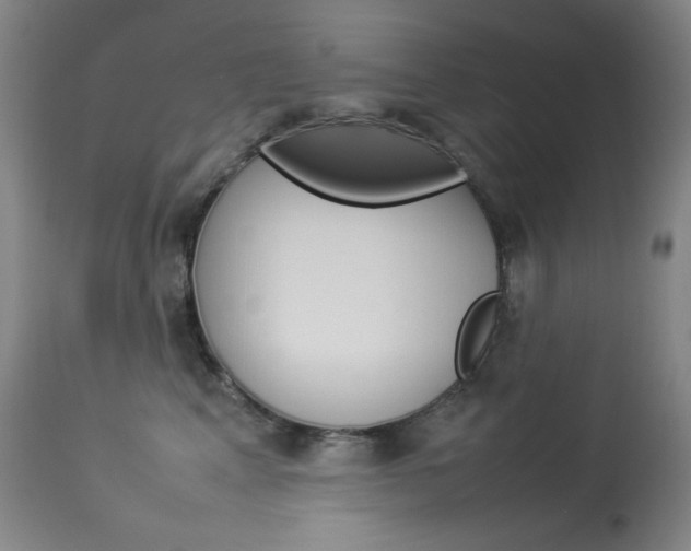 X0000114140617200910081027