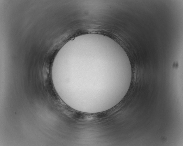 X0000114140618200910081027