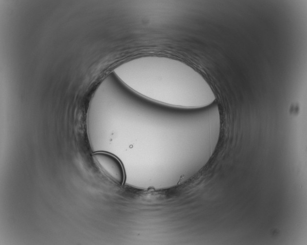 X0000114140619200910081027