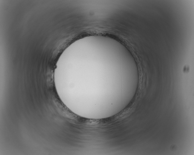 X0000114140624200910081027