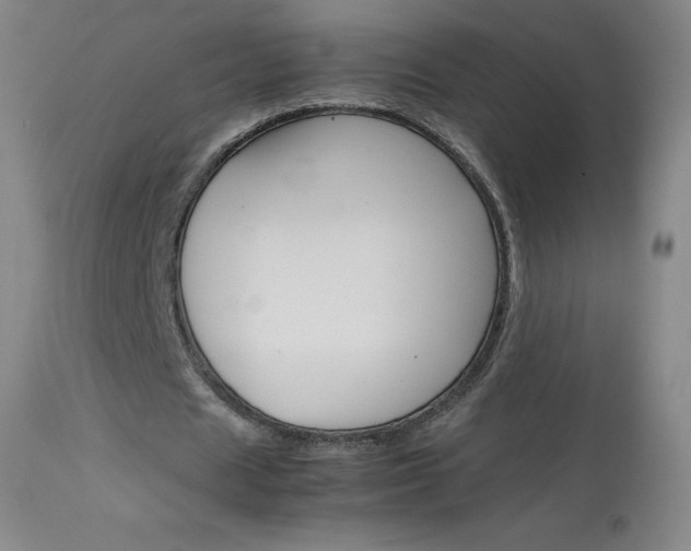 X0000114140625200910081027