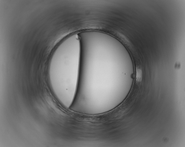 X0000114140627200910081027