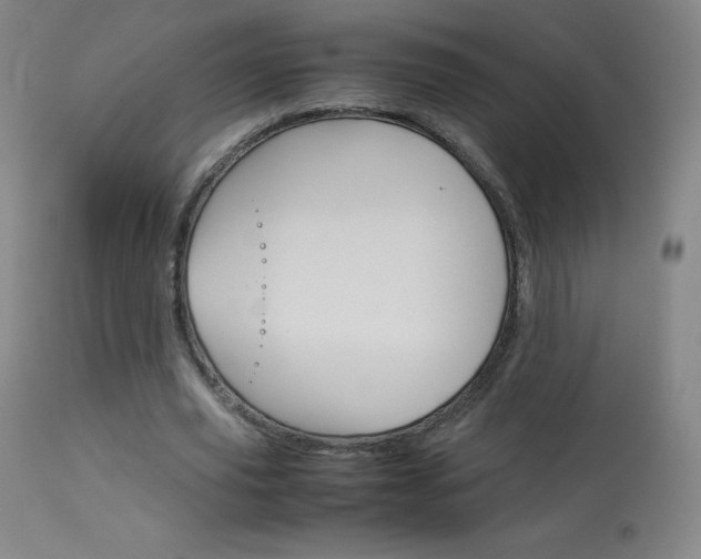 X0000114140629200910081027