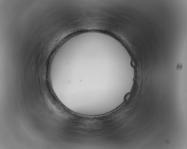 X0000114140631200910081027