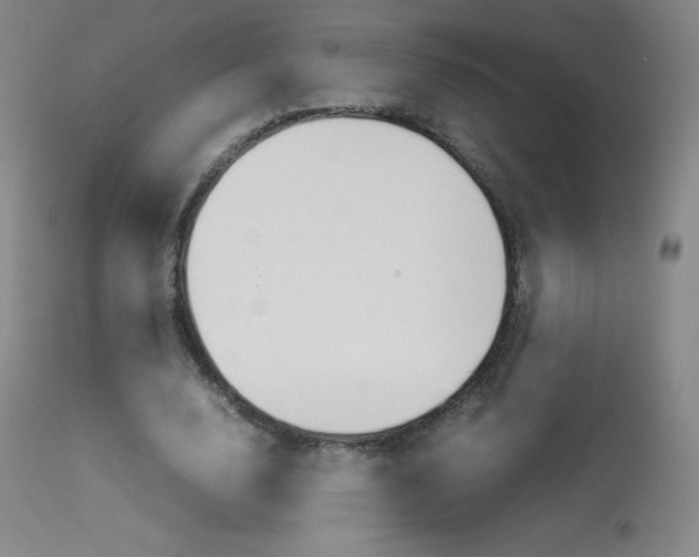 X0000114140632200910081027