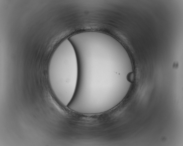 X0000114140633200910081027
