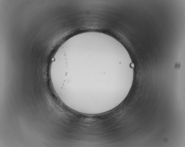 X0000114140635200910081027